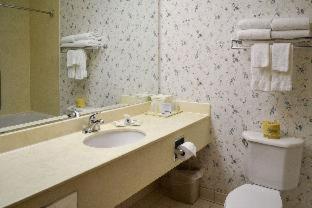 Room #49129310 at Comfort Suites State College near Penn State