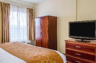 Room #49129311 at Comfort Suites State College near Penn State