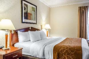 Room #49129311 at Comfort Suites State College near Penn State
