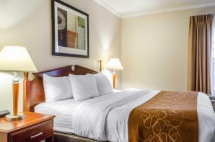 Room #49129310 at Comfort Suites State College near Penn State