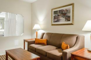 Room #49129310 at Comfort Suites State College near Penn State