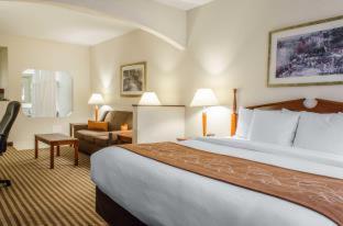 Room #49129310 at Comfort Suites State College near Penn State