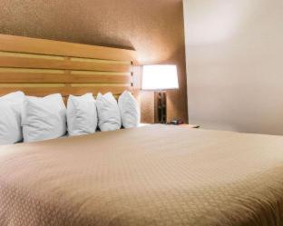 Room #46147319 at Quality Inn & Suites Warren - Detroit
