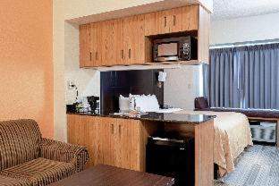 Room #52824913 at Quality Inn & Suites