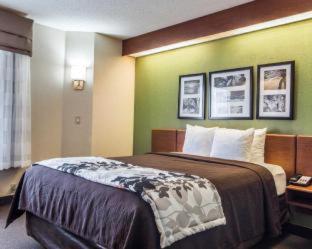 Room #48961715 at Sleep Inn and Conference Center