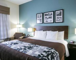 Room #49202204 at Sleep Inn & Suites Austin North-Pflugerville