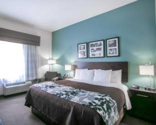Room #49202204 at Sleep Inn & Suites Austin North-Pflugerville