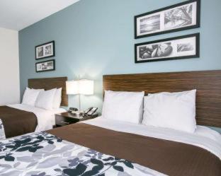 Room #49202205 at Sleep Inn & Suites Austin North-Pflugerville