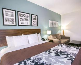 Room #49202206 at Sleep Inn & Suites Austin North-Pflugerville