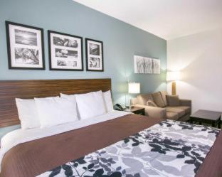 Room #49202206 at Sleep Inn & Suites Austin North-Pflugerville