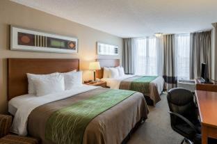 Room #49081509 at Comfort Inn & Suites Omaha Central