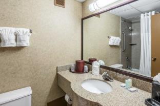 Room #49081509 at Comfort Inn & Suites Omaha Central