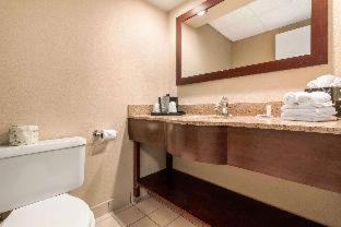 Room #49081509 at Comfort Inn & Suites Omaha Central