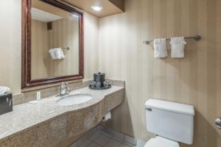 Room #49081510 at Comfort Inn & Suites Omaha Central