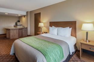 Room #49081510 at Comfort Inn & Suites Omaha Central