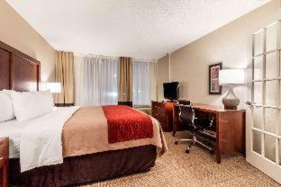 Room #49081511 at Comfort Inn & Suites Omaha Central