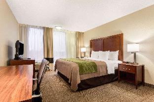 Room #49081513 at Comfort Inn & Suites Omaha Central
