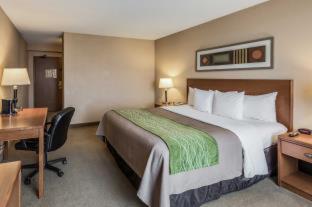 Room #49081513 at Comfort Inn & Suites Omaha Central