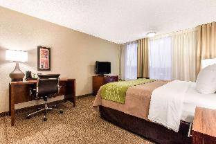 Room #49081513 at Comfort Inn & Suites Omaha Central