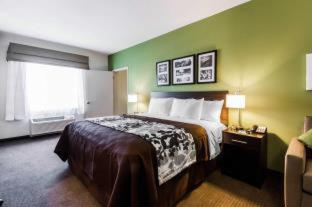Room #119923206 at Spark by Hilton Odessa