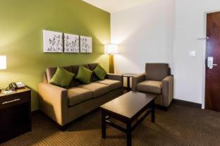 Room #119923206 at Spark by Hilton Odessa