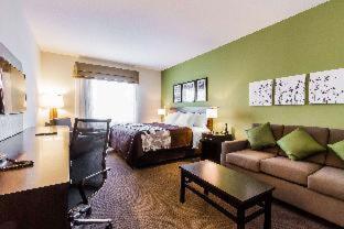 Room #119923208 at Spark by Hilton Odessa