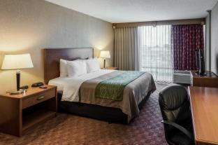 Room #49081514 at Comfort Inn & Suites Omaha Central