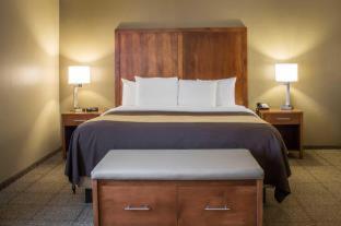 Room #49111015 at Quality Inn Dover