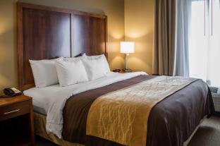 Room #49111015 at Quality Inn Dover