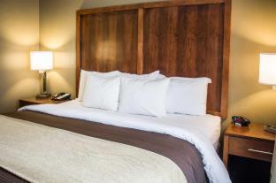Room #49111015 at Quality Inn Dover
