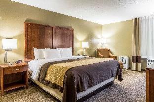 Room #49111017 at Quality Inn Dover