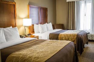 Room #49111018 at Quality Inn Dover