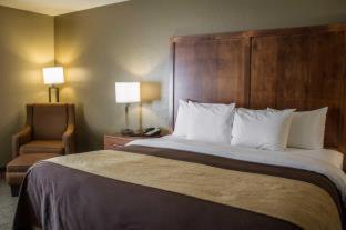 Room #49111019 at Quality Inn Dover
