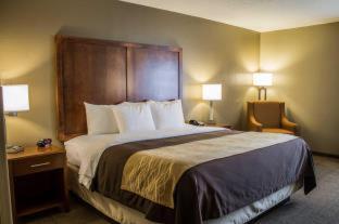 Room #49111019 at Quality Inn Dover