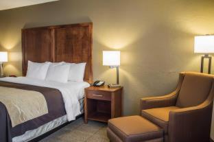 Room #49111019 at Quality Inn Dover