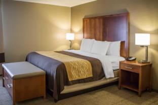 Room #49111019 at Quality Inn Dover