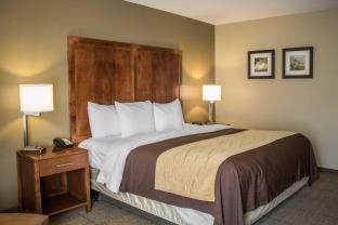 Room #49111020 at Quality Inn Dover