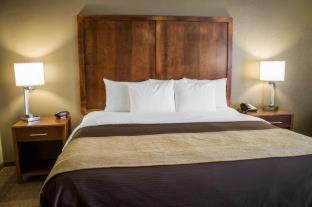 Room #49111020 at Quality Inn Dover