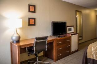 Room #49111020 at Quality Inn Dover