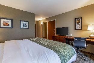 Room #349715306 at Comfort Inn & Suites – Harrisburg Airport – Hershey South