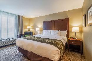 Room #349715306 at Comfort Inn & Suites – Harrisburg Airport – Hershey South