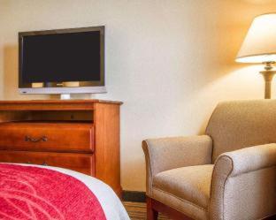 Room #49029008 at Comfort Inn And Suites Wilton
