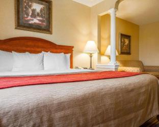 Room #49029008 at Comfort Inn And Suites Wilton