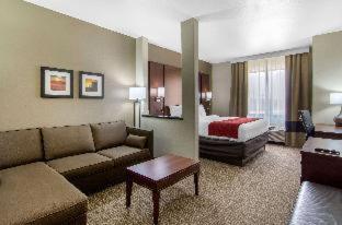 Room #332708908 at Comfort Inn & Suites Shawnee - Kansas City