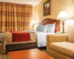 Room #49029010 at Comfort Inn And Suites Wilton