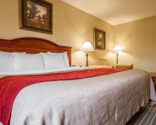 Room #49029010 at Comfort Inn And Suites Wilton