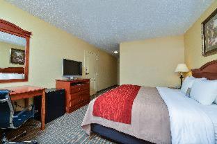 Room #49029010 at Comfort Inn And Suites Wilton
