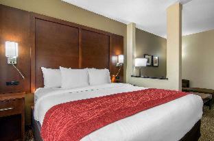 Room #332708910 at Comfort Inn & Suites Shawnee - Kansas City