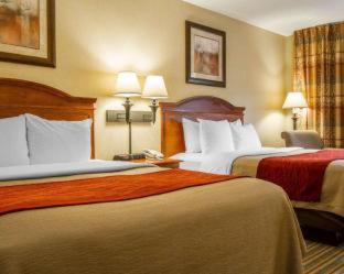 Room #49029012 at Comfort Inn And Suites Wilton