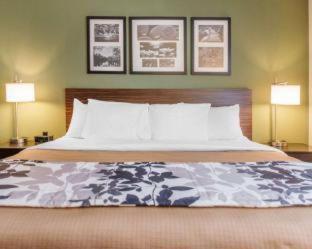 Room #141413410 at Sleep Inn & Suites Defuniak Springs - Crestview